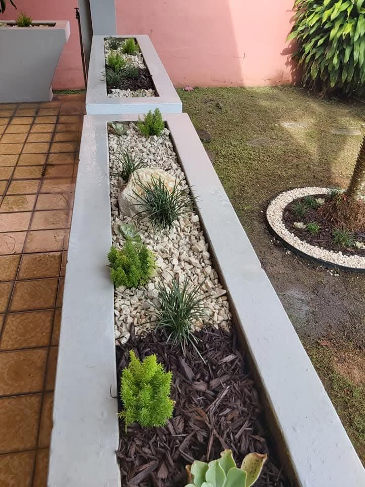 Trabajo realizado por Jardinería Martínez