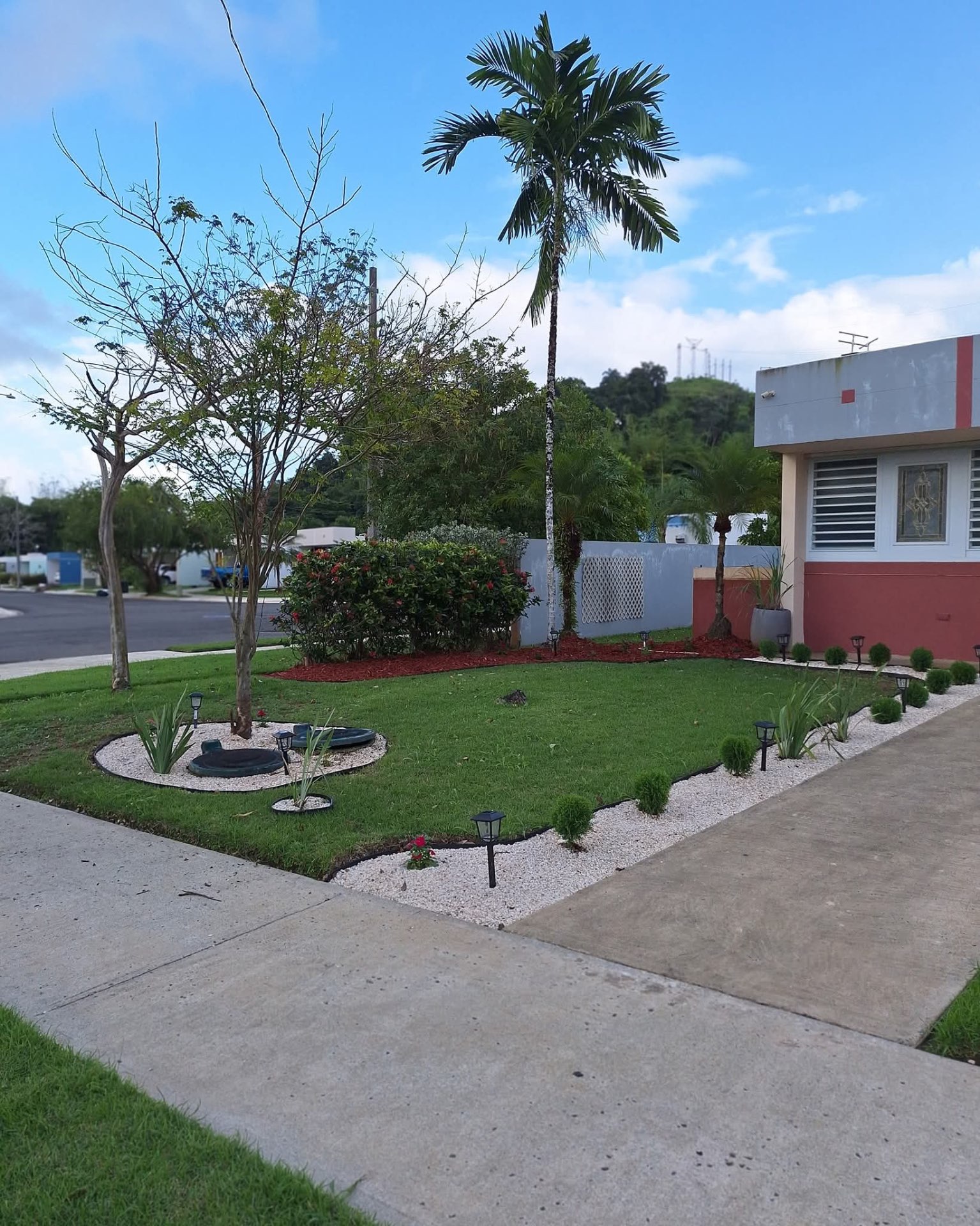 Trabajo realizado por Jardinería Martínez